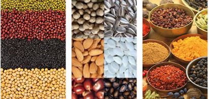 grains,power 粒子电源