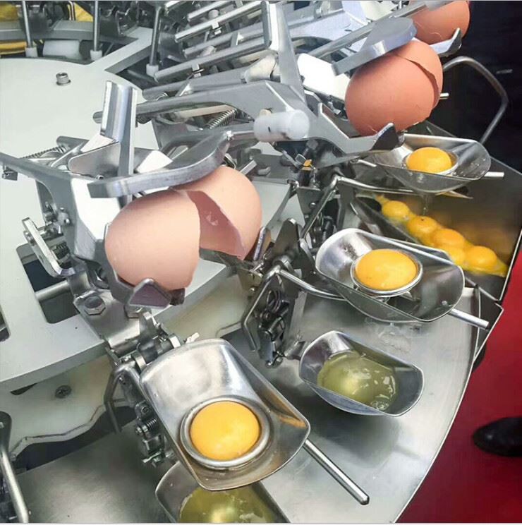 Egg Liquid Separator 3