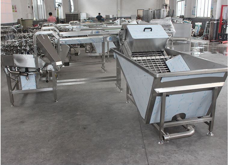 Egg Liquid Separator 9