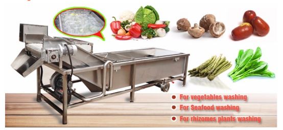 Industrial Vegetable and Fruit Washer Stainless Steel Vegetable