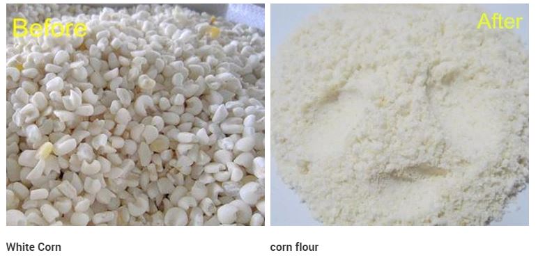 白色玉米面粉