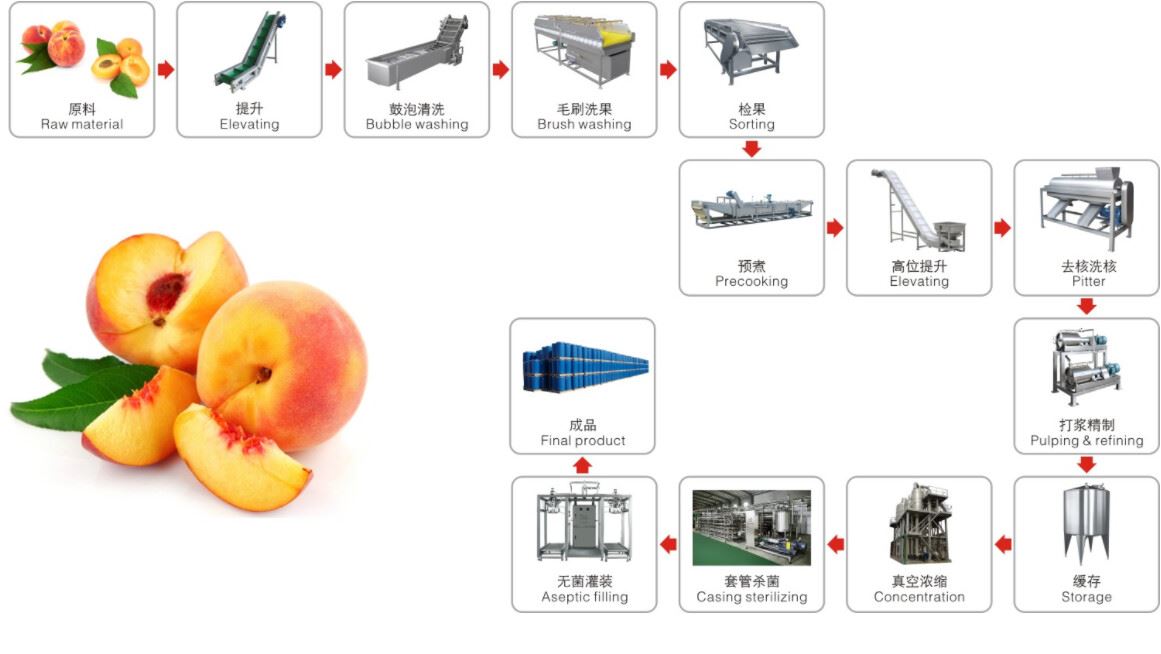 桃1号线