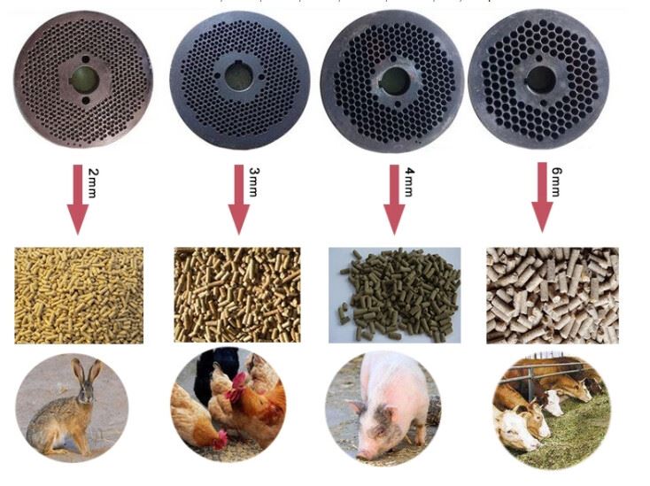 Feed pellet machine 3