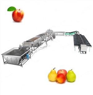 水果洗涤、松举、空干和分层线
