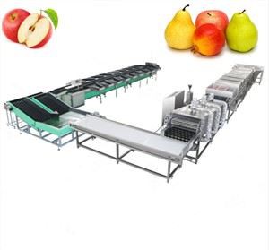 Fruit Washing Waxing Drying Production Line