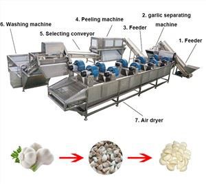 Garlic Separating And Peeling Machine