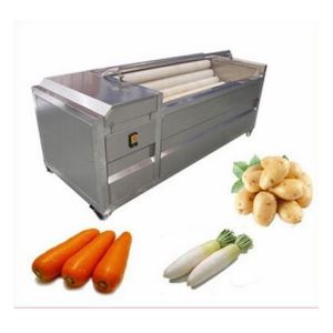 Vegetable Brush Cleaning Machine