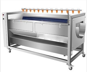 vegetable washing Machine