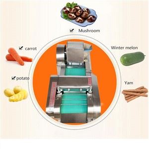 Vegetable cutting Machine