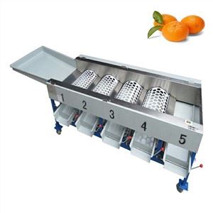 Fruit Sorting Machine