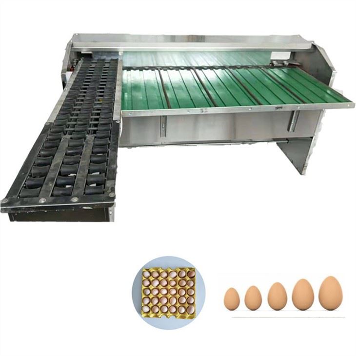 Egg Grading Sorting Machine