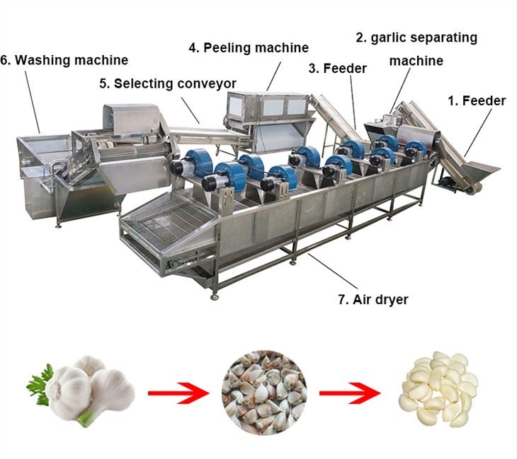 Garlic Peeling Production Line