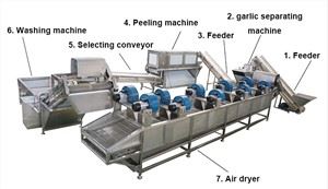 industrial garlic peeling machine