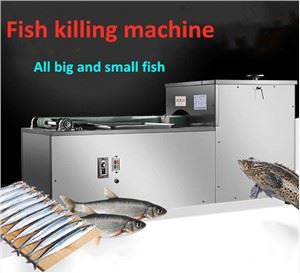 Fish killing Machine