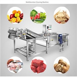 Vegetable Washing Machine