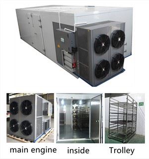 Fruit Drying Machine