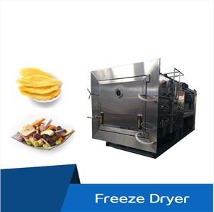 Industrial Vacuum Freeze Dryer