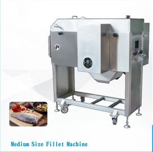 Medium Size Fillet Machine