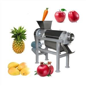 Cold Press Juicer Extractor