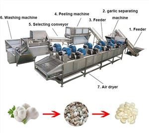 Garlic Peeling Machine