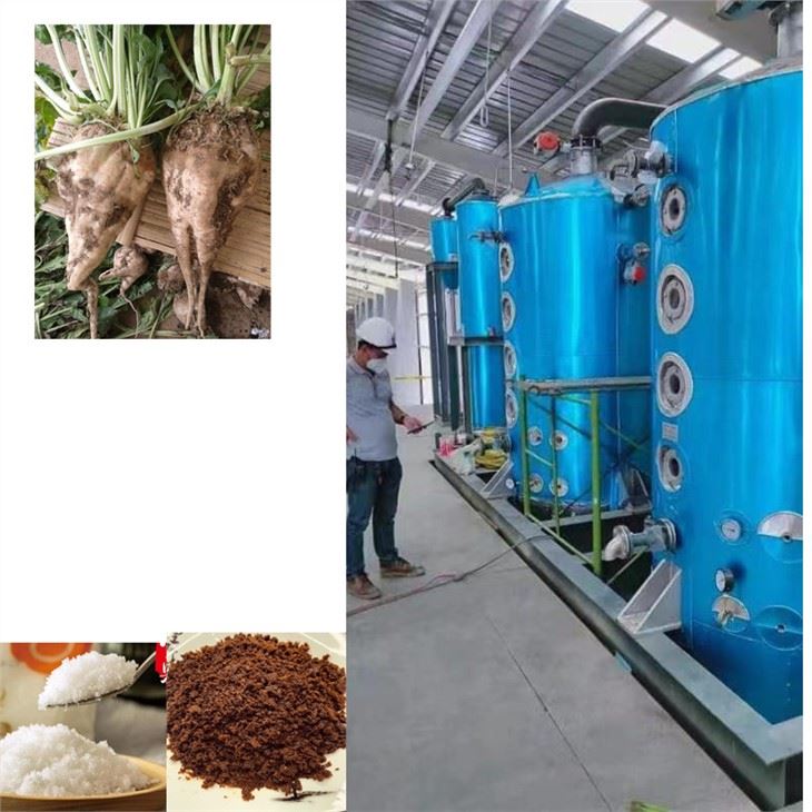 Beet sugar production line