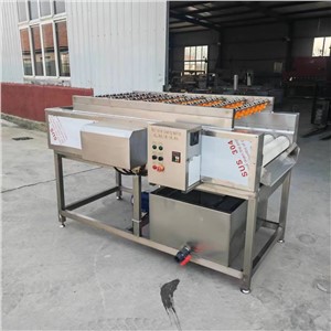 Oyster Cleaning Machine