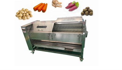 Vegetable Roller Washing And Peeling Machine